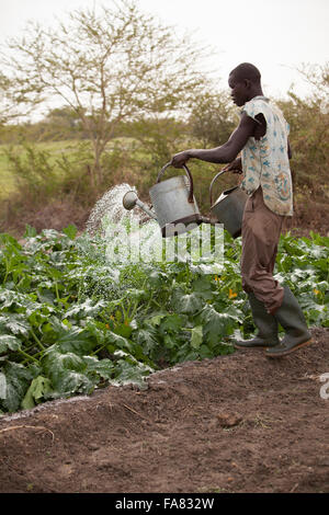 Un piccolo agricoltore acque il suo orto in di reparto, Burkina Faso. Foto Stock