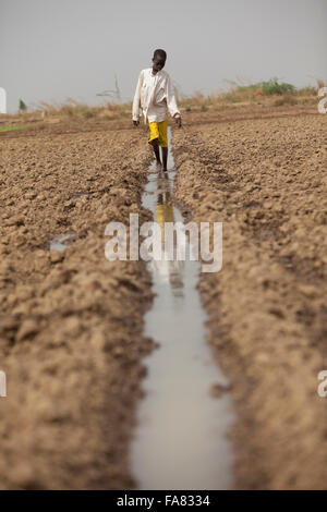 Un bambino cammina anche se un solco di irrigazione per la sua famiglia del terreno coltivato in di reparto, Burkina Faso. Foto Stock