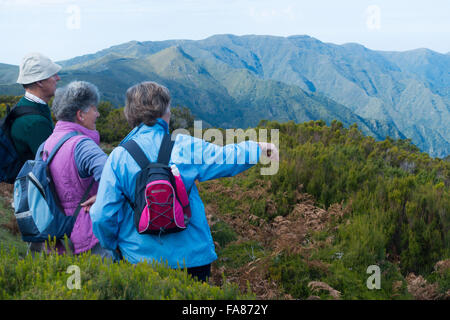 Gli scuotipaglia sull'isola di Madera in cerca di fronte alle montagne dall'altopiano di Paolo da Serra (1300-1500 metri) nel centro dell'isola Foto Stock