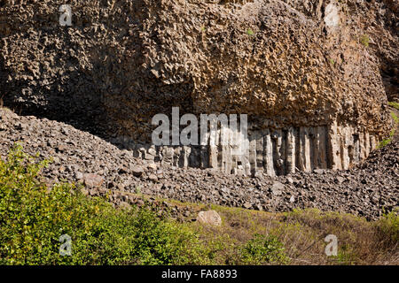 WA12423-00...WASHINGTON - diversi strati e angoli di basalto colonnare sulle pareti del canyon Northrup Riserva Naturale. Foto Stock