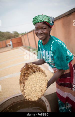 Il riso parboiled è prima di essere venduto ad un gruppo di donne dal centro di elaborazione in provincia Sourou, Burkina Faso. Foto Stock