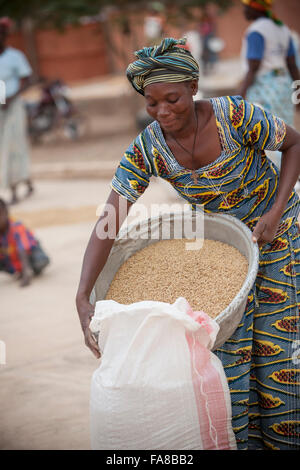 Il riso viene essiccata prima di essere venduto ad un gruppo di donne dal centro di elaborazione in provincia Sourou, Burkina Faso. Foto Stock