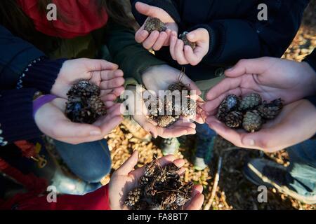 Azienda familiare pigne nelle mani, concentrarsi sulle mani, close-up Foto Stock