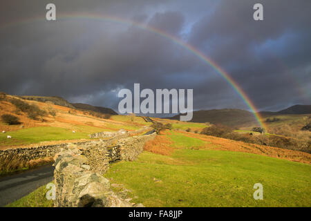 Ambelside, Cumbria, Regno Unito. Il 23 dicembre, 2015. Regno Unito Meteo. Un bellissimo arcobaleno appare brevemente sopra la strada conosciuta come 'la lotta' appena fuori Ambelside nel Parco Nazionale del Distretto dei Laghi. Credito: gary telford/Alamy Live News Foto Stock