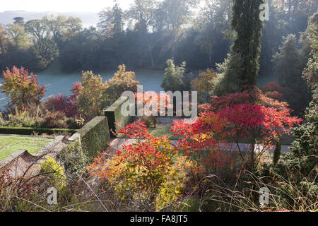 Autunno in giardino a Powis Castle, Welshpool, Powys. Foto Stock