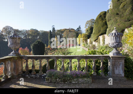 Autunno in giardino a Powis Castle, Welshpool, Powys. Foto Stock