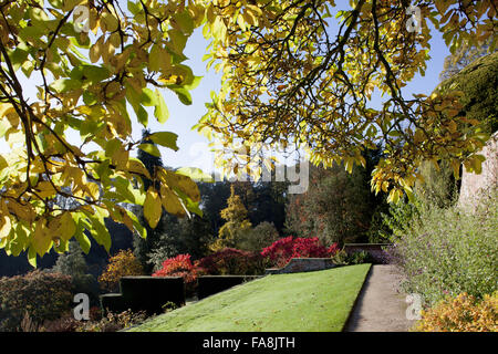 Autunno in giardino a Powis Castle, Welshpool, Powys. Foto Stock