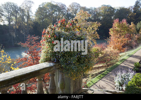 Autunno in giardino a Powis Castle, Welshpool, Powys. Foto Stock