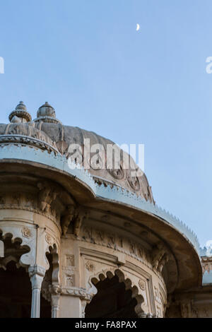 Dettaglio del Lago Garden Palace di Udaipur, Rajasthan Foto Stock