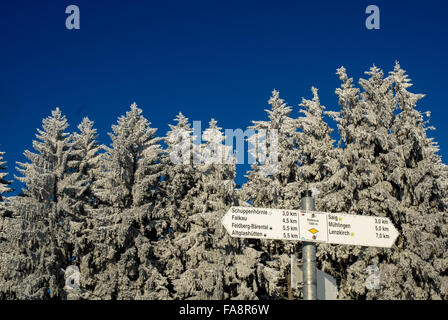 Coperta di neve paesaggio invernale con il segno in feldberg nella Germania meridionale Foto Stock