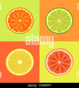 Gli agrumi in colori diversi sfondi Illustrazione Vettoriale