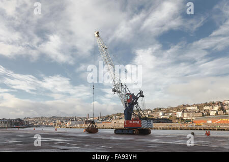 Afferrare la gru nel porto di Cork City Foto Stock