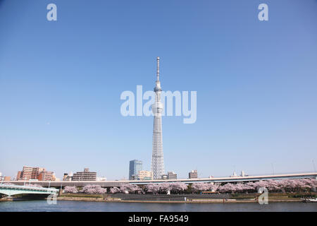 Vista della Torre Skytree, Tokyo, Giappone Foto Stock