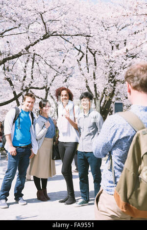 Multi-etnico gruppo di amici gustando la fioritura dei ciliegi in fiore nel Tokyo Foto Stock
