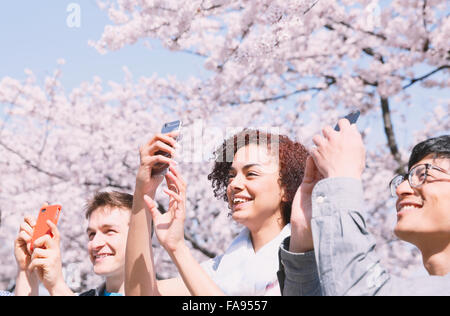 Multi-etnico gruppo di amici gustando la fioritura dei ciliegi in fiore nel Tokyo Foto Stock