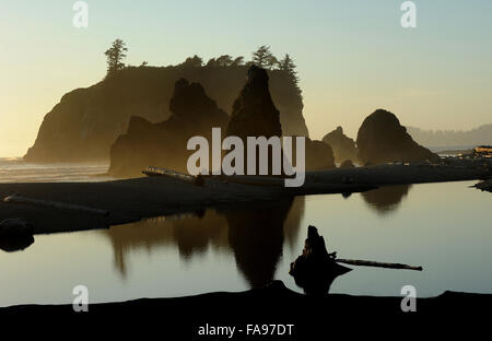 21 agosto 2015 - Il Parco nazionale di Olympic, Washington, Stati Uniti - formazioni di roccia chiamata mare pile sono visto riflesso in wa Foto Stock