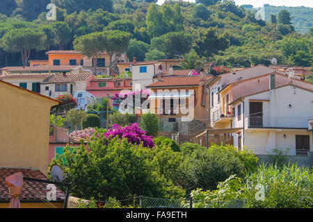 Vista della pittoresca cittadina di Marciana Marina Isola d'Elba, Italia Foto Stock