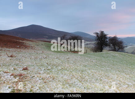 Lantysilio montagna su un inverni mattina Foto Stock