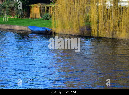 Un piccolo e privato barca blu con tettoia blue seduto su un ampio canale di Amsterdam sotto un salice piangente in un giorno chiaro. Foto Stock