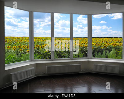 Camera con metallo-plastico di finestre che si affacciano sul campo di girasoli Foto Stock
