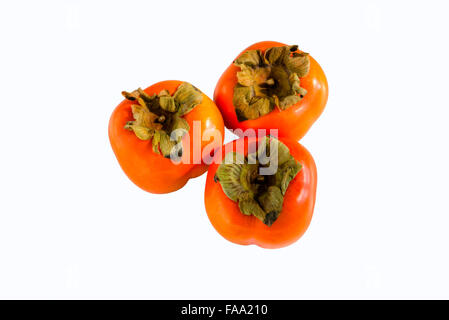 Tre di colore arancio brillante persimmon frutta fotografati contro uno sfondo bianco Foto Stock