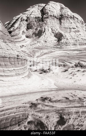 Un stagno di acqua piovana riflette l'unica e remote bianche Pocket formazioni rocciose in Vermillion Cliffs National Monument in Arizona. Foto Stock