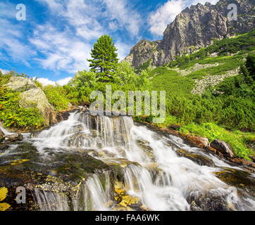 Velka Studenna Dolina Studenna Valley,Tatra, Slovacchia Foto Stock