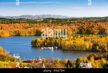 Solina Lake, monti Bieszczady, Polonia Foto Stock