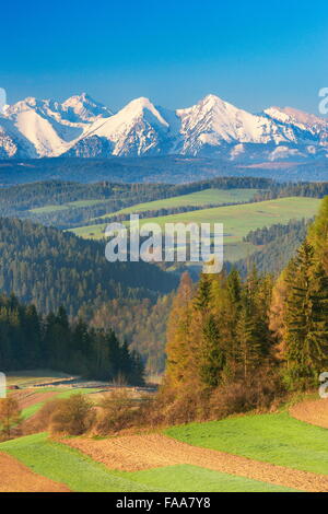 Monti Tatra, Polonia Foto Stock