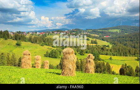 Paesaggio vicino a Zakopane, Polonia Foto Stock