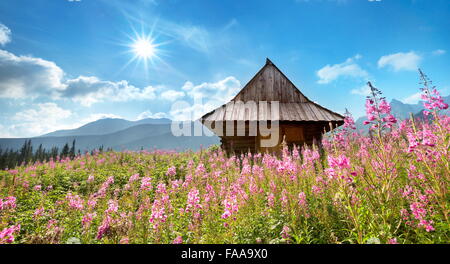Gasienicowa Valley, Monti Tatra, Polonia Foto Stock