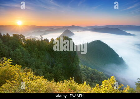 Pieniny Montagne, Vista Da Trzy Korony picco, Polonia Foto Stock