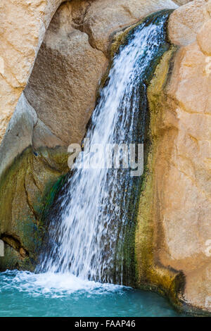 Cascata in oasi di montagna Chebika, Tunisia, Africa Foto Stock