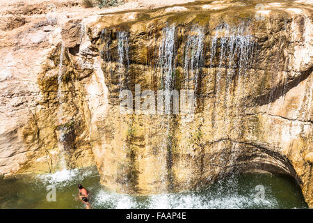 Cascata in oasi di montagna Chebika, Tunisia, Africa Foto Stock