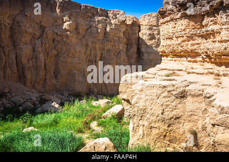 Oasi di montagna Tamerza in Tunisia vicino al confine con l'Algeria. Foto Stock