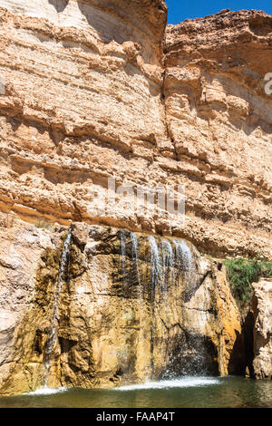 Cascata in oasi di montagna Chebika, Tunisia, Africa Foto Stock