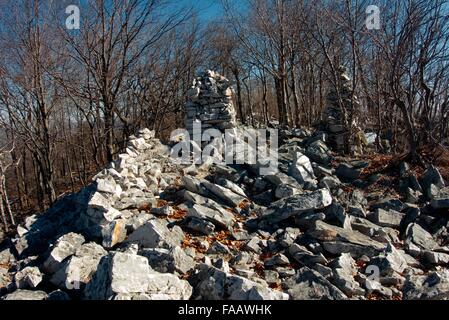 Uno dei più grandi campi di boulder uno ha per navigare attraverso il Tussey Mountain in Pennyslvania. Foto Stock