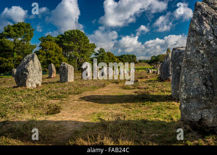 Carnac menhir (Pre-celtic pietre megalitiche) in Francia nordoccidentale. Foto Stock