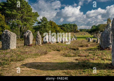 Carnac menhir (Pre-celtic pietre megalitiche) in Francia nordoccidentale. Foto Stock