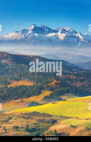 Monti Tatra - Vista dalla regione di Pieniny, Polonia Foto Stock