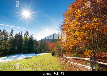 Pieniny Montagne in autunno, Polonia Foto Stock