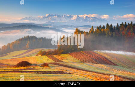 Monti Tatra - Vista dal Czorsztyn, Pieniny regione, Polonia Foto Stock