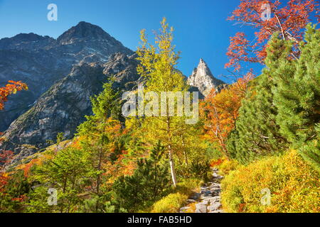 Autunno nei Monti Tatra, Polonia, Foto Stock