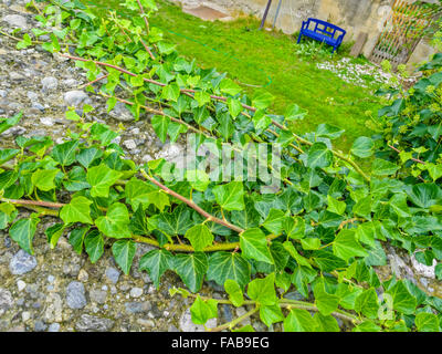 Street vedute della città di Caldaro in Alto Adige area del Nord Italia Foto Stock