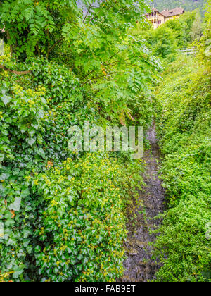 Street vedute della città di Caldaro in Alto Adige area del Nord Italia Foto Stock