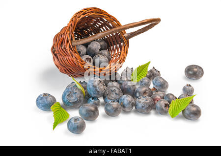 Un gruppo di mirtilli deliziosa in un tessuto di bamboo bsket Foto Stock