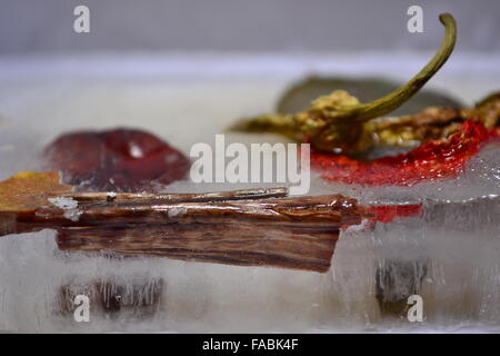 Peperoni congelato il legno di castagno foglie in ghiaccio Foto Stock
