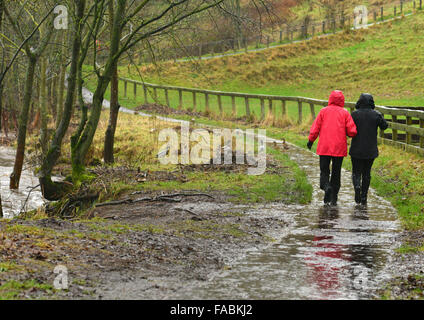 Barnard Castle, nella contea di Durham, Regno Unito. Il 26 dicembre 2015. Regno Unito Meteo. Una coppia di hardy donne brave e pesanti piogge persistenti per prendere un tradizionale a piedi lungo le rive del Fiume Tees in Barnard Castle, nella contea di Durham su Boxing Day. Un certo numero di fiumi hanno hanno rotto gli argini e il Met Office ha pubblicato avvisi di maltempo per molte aree del Regno Unito Credit: Robert Smith/Alamy Live News Foto Stock