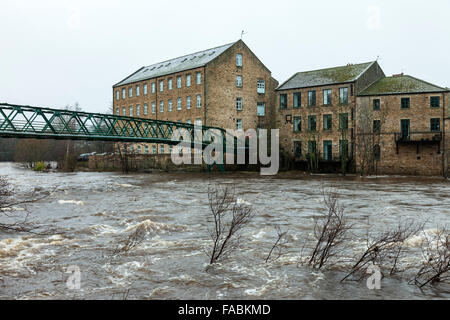 Fiume Tees, Barnard Castle, Teesdale, County Durham, 26 dicembre 2015. Regno Unito Meteo. Il Fiume Tees che scorre sotto il Ponte Verde in Barnard Castle dopo dopo la pioggia caduta nella notte ha lasciato molti fiumi in Inghilterra settentrionale a livello di inondazione. Foto Stock