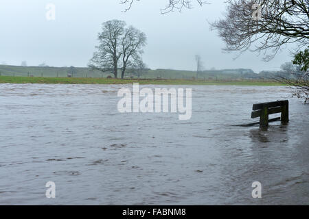 Gainford, County Durham, Regno Unito. Il 26 dicembre 2015. Regno Unito meteo. Un banco è parzialmente sommersa dopo il Fiume Tees è rigonfiato in seguito a pesanti e persistente pioggia attraverso Teesdale nella Contea di Durham su Boxing Day. Alluvione grave avvertenze sono state rilasciate per molte parti del Regno Unito. Credito: Robert Smith/Alamy Live News Foto Stock